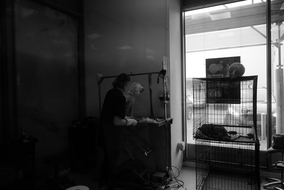 Cum sa schimbi singur sigurantele arse