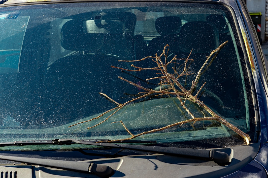 Repararea plasticelor zgariate din interior