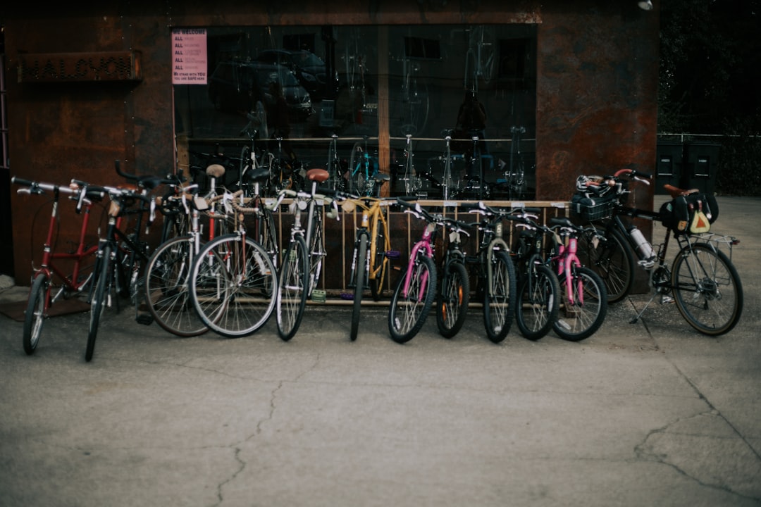 Cum sa alegi suportul de bicicleta potrivit pentru masina ta