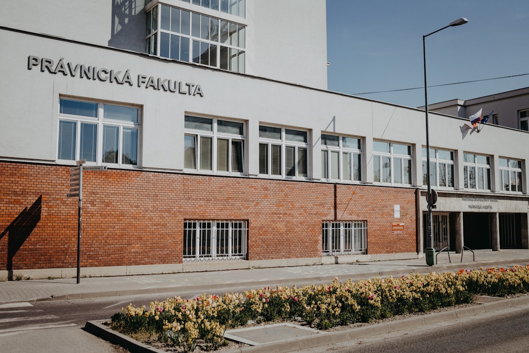 Cum sa inlocuiesti cablul de frana de mana